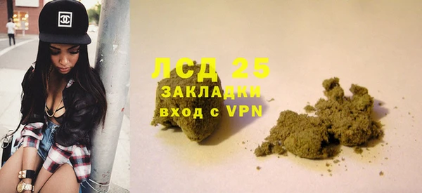 PSILOCYBIN Белокуриха