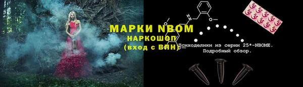 PSILOCYBIN Белокуриха