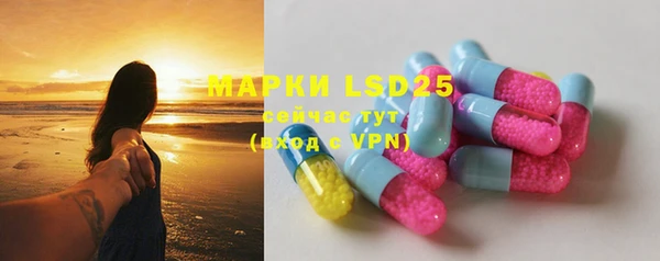 PSILOCYBIN Белокуриха