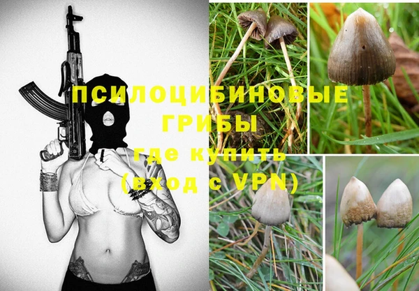 ешки Белоозёрский