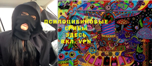 PSILOCYBIN Белокуриха