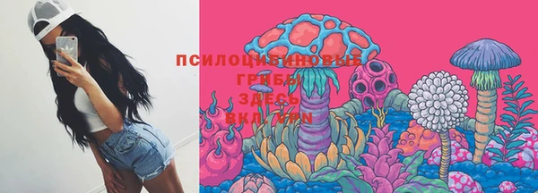 ешки Белоозёрский