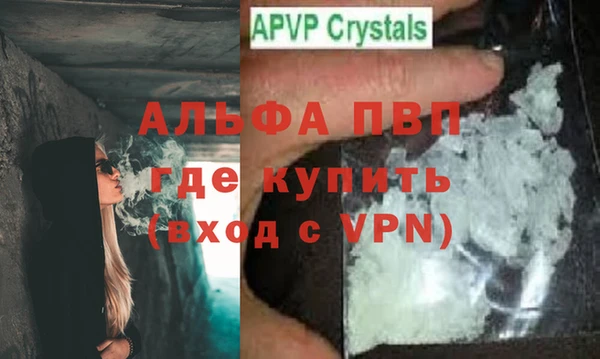 PSILOCYBIN Белокуриха