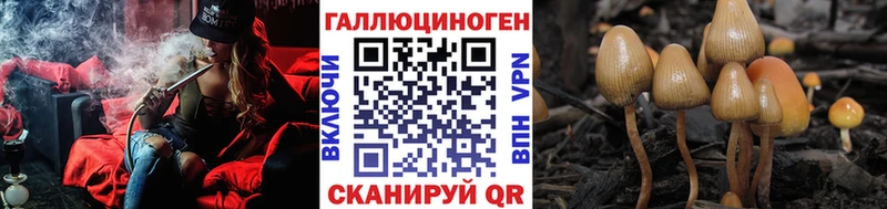 Псилоцибиновые грибы мухоморы  Купить где  Мезень 